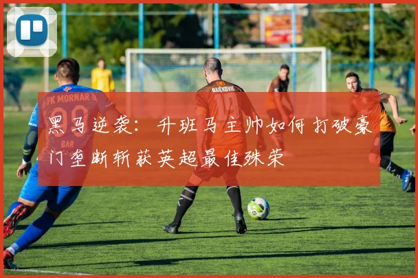 黑马逆袭：升班马主帅如何打破豪门垄断斩获英超最佳殊荣